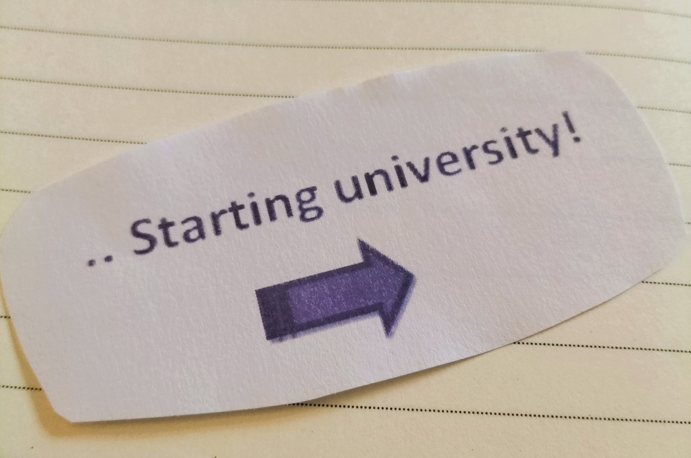L’ingresso all’università: una prospettiva sui primi passi in questo nuovo percorso, alla base del metodo di studio