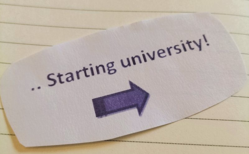 L’ingresso all’università: una prospettiva sui primi passi in questo nuovo percorso, alla base del metodo di studio