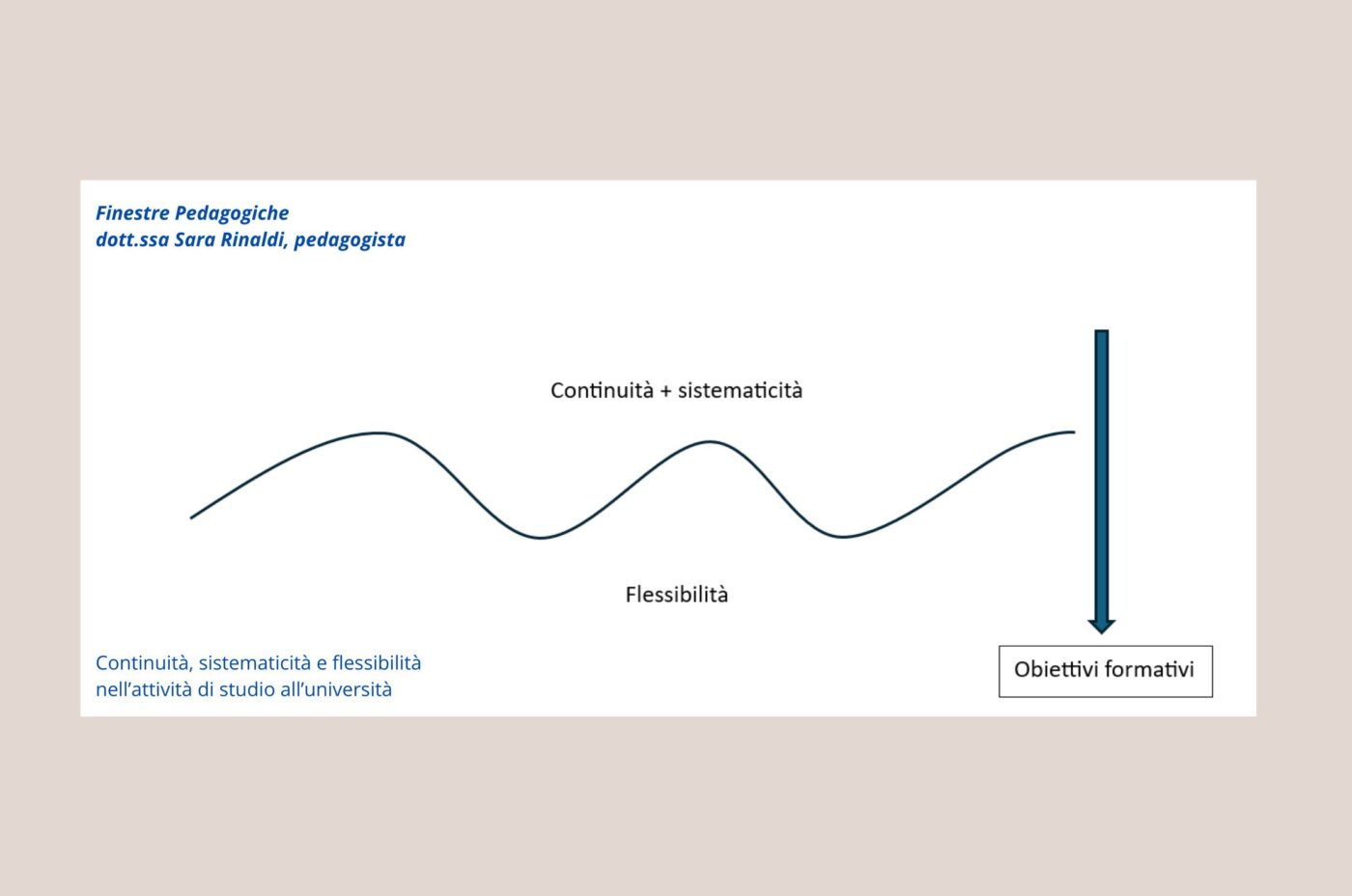 .. Una linea continua, curva, con una direzione: continuità, sistematicità e flessibilità nell’attività di studio